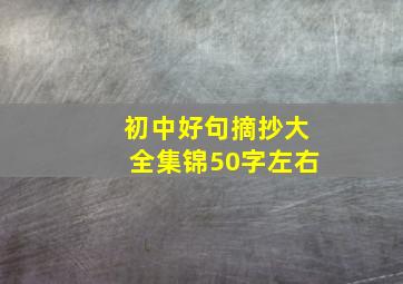 初中好句摘抄大全集锦50字左右