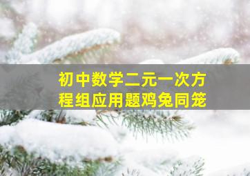 初中数学二元一次方程组应用题鸡兔同笼