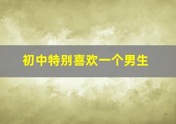 初中特别喜欢一个男生