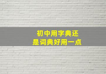 初中用字典还是词典好用一点