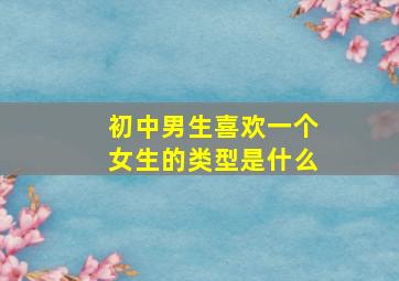 初中男生喜欢一个女生的类型是什么