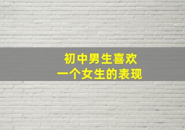 初中男生喜欢一个女生的表现