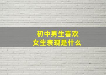 初中男生喜欢女生表现是什么