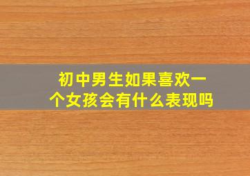 初中男生如果喜欢一个女孩会有什么表现吗