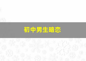 初中男生暗恋