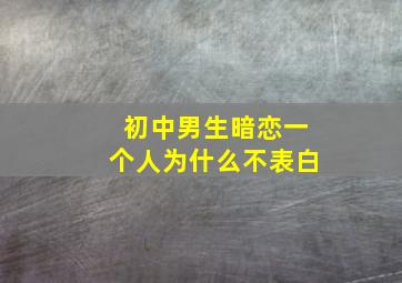 初中男生暗恋一个人为什么不表白