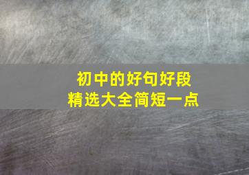 初中的好句好段精选大全简短一点