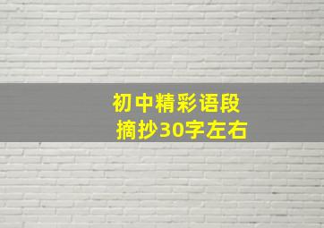 初中精彩语段摘抄30字左右