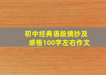 初中经典语段摘抄及感悟100字左右作文