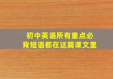 初中英语所有重点必背短语都在这篇课文里