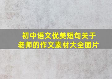 初中语文优美短句关于老师的作文素材大全图片