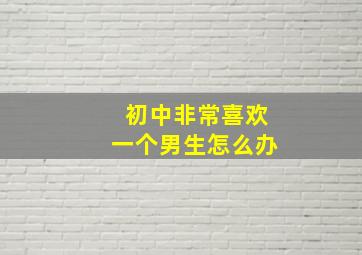 初中非常喜欢一个男生怎么办