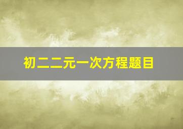 初二二元一次方程题目