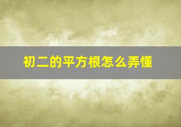 初二的平方根怎么弄懂