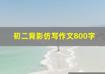 初二背影仿写作文800字