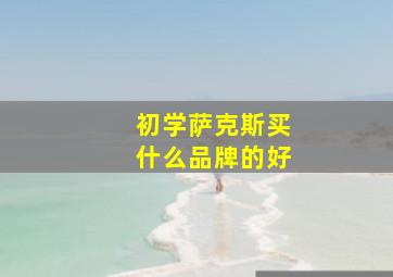 初学萨克斯买什么品牌的好