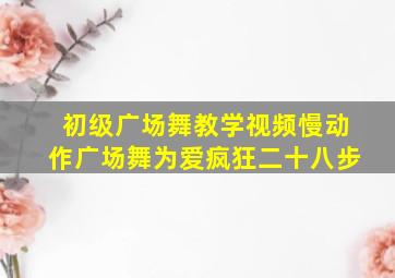 初级广场舞教学视频慢动作广场舞为爱疯狂二十八步