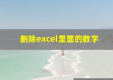 删除excel里面的数字