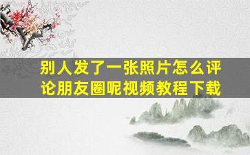 别人发了一张照片怎么评论朋友圈呢视频教程下载