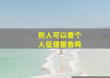 别人可以查个人征信报告吗