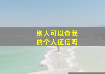 别人可以查我的个人征信吗