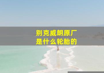 别克威朗原厂是什么轮胎的