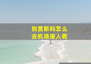 到莫斯科怎么去机场接人呢