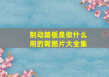 制动踏板是做什么用的呢图片大全集