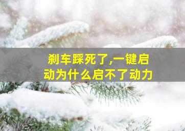 刹车踩死了,一键启动为什么启不了动力