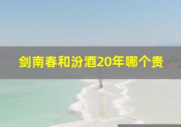 剑南春和汾酒20年哪个贵