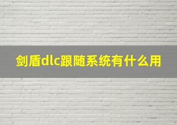 剑盾dlc跟随系统有什么用