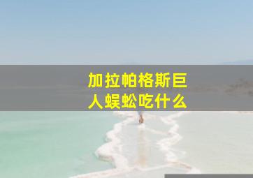 加拉帕格斯巨人蜈蚣吃什么