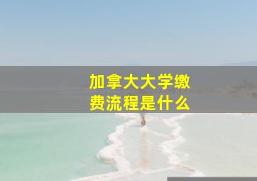 加拿大大学缴费流程是什么