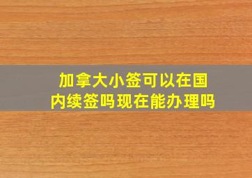 加拿大小签可以在国内续签吗现在能办理吗