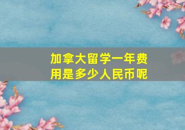 加拿大留学一年费用是多少人民币呢