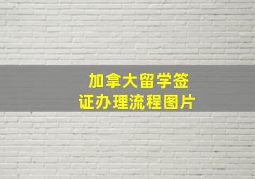 加拿大留学签证办理流程图片