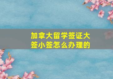 加拿大留学签证大签小签怎么办理的