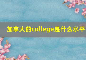 加拿大的college是什么水平