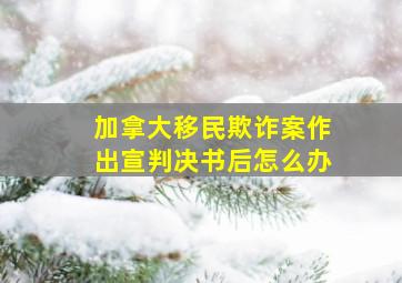 加拿大移民欺诈案作出宣判决书后怎么办