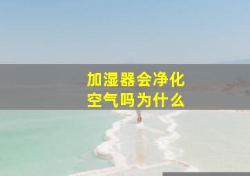 加湿器会净化空气吗为什么