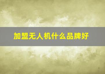 加盟无人机什么品牌好