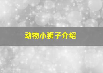 动物小狮子介绍