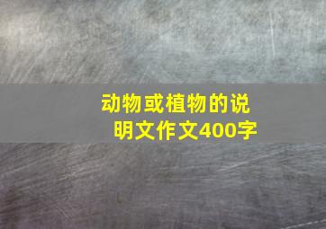 动物或植物的说明文作文400字