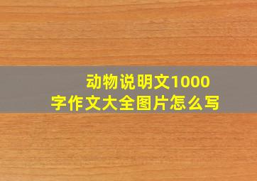 动物说明文1000字作文大全图片怎么写