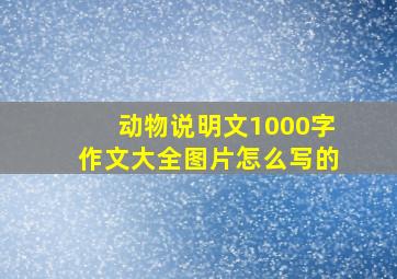 动物说明文1000字作文大全图片怎么写的