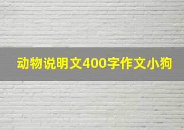 动物说明文400字作文小狗