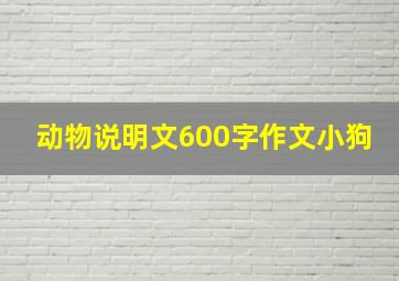 动物说明文600字作文小狗