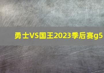 勇士VS国王2023季后赛g5