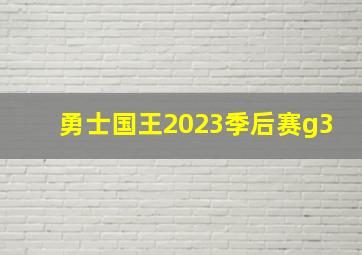 勇士国王2023季后赛g3