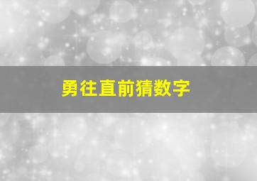 勇往直前猜数字